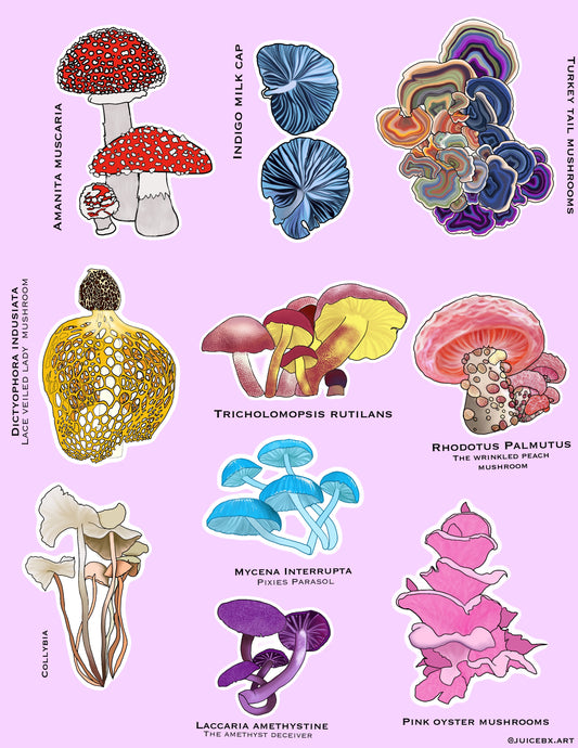 Mushroom Sticker Pack